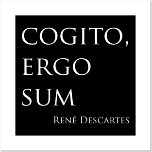 Cogito, ergo sum 2 Posters and Art